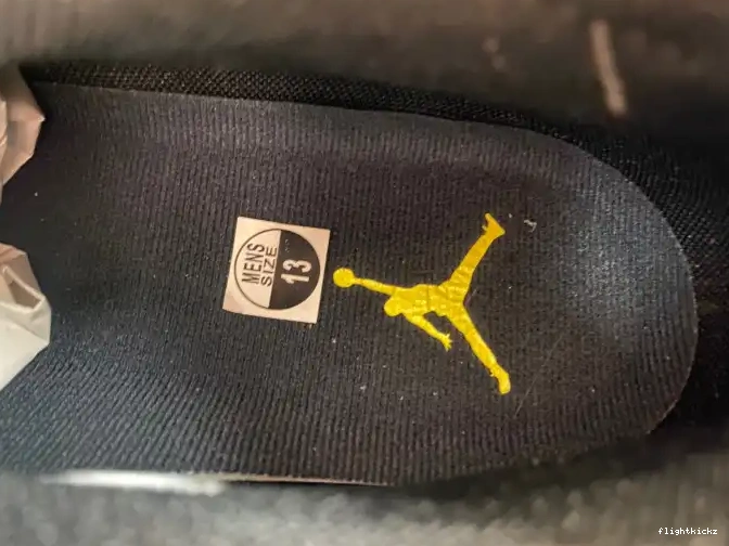 Low 17 Air Jordan FJ0395-100 Lightning 0620